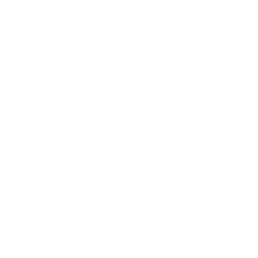 Visa Card