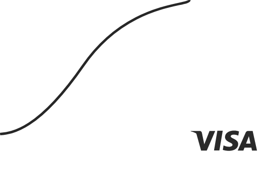 Visa Card